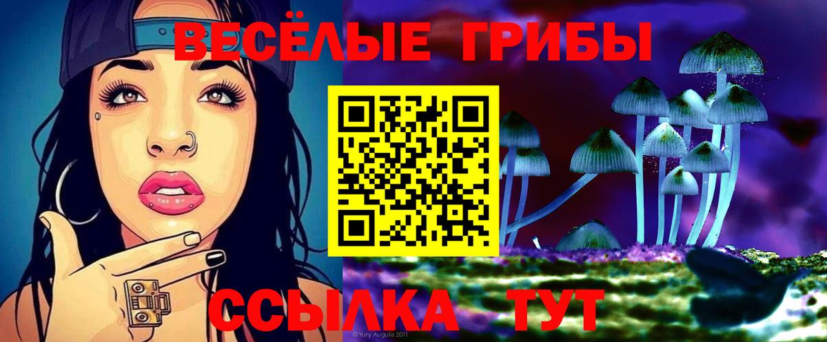 Урюпинск  Галлюциногенные грибы мицелий  Вход с VPN 